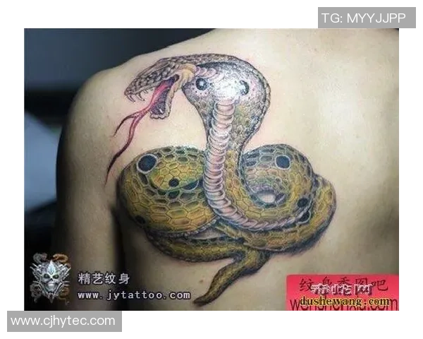 足球明星独特蛇纹身高清大赏展现个性与魅力